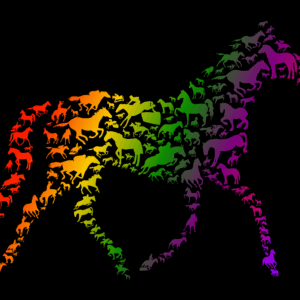 Horse in Horse Rainbow Design Print Tee T-Shirt with Optional Customised Text