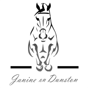 Artistic Horse Show Jumper Design with Personalised Horse and Rider Name Text Print Tee T-Shirt